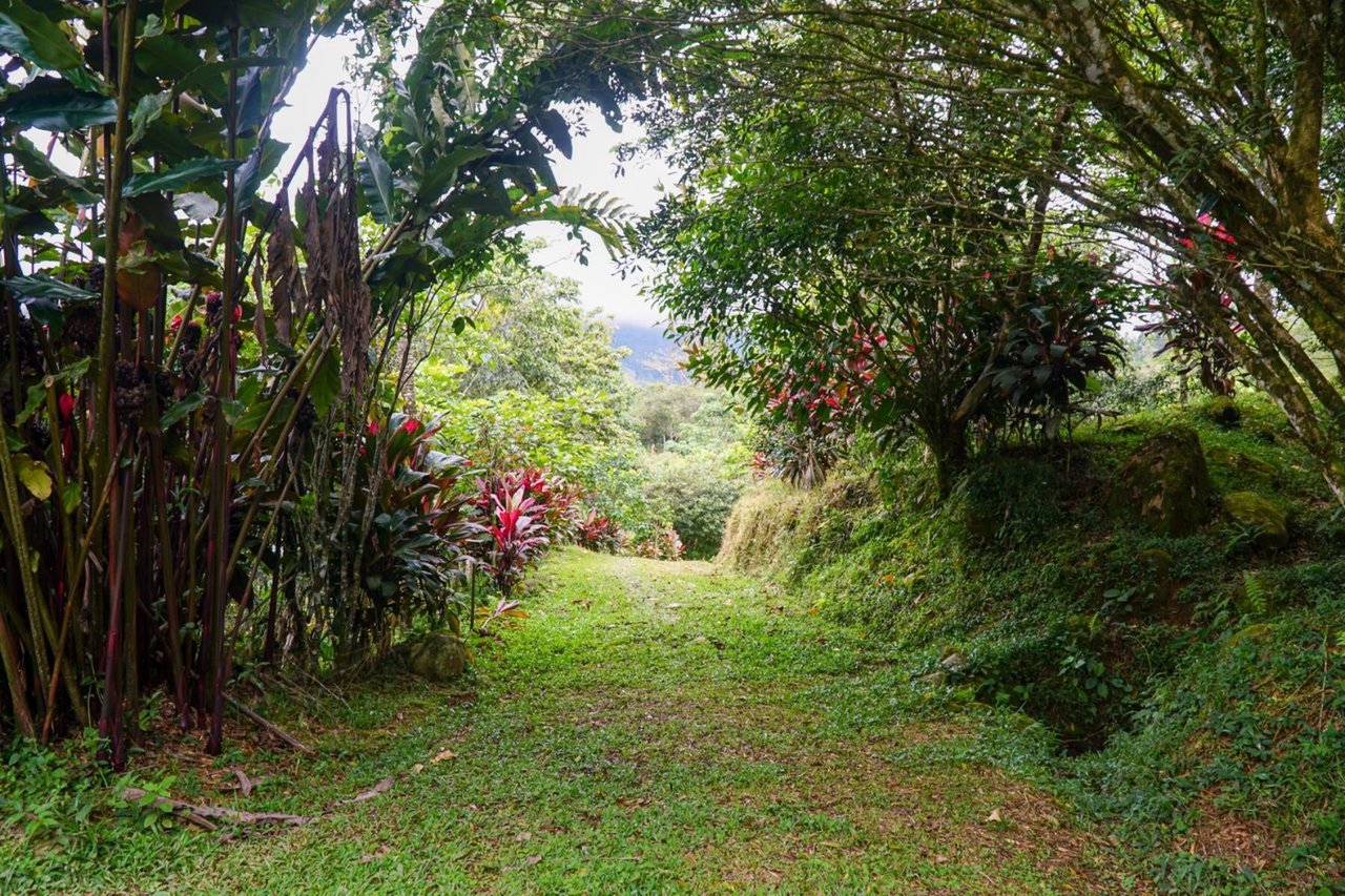 Sustainable Organic Mountain Farm, Perez Zeledon, San Jose