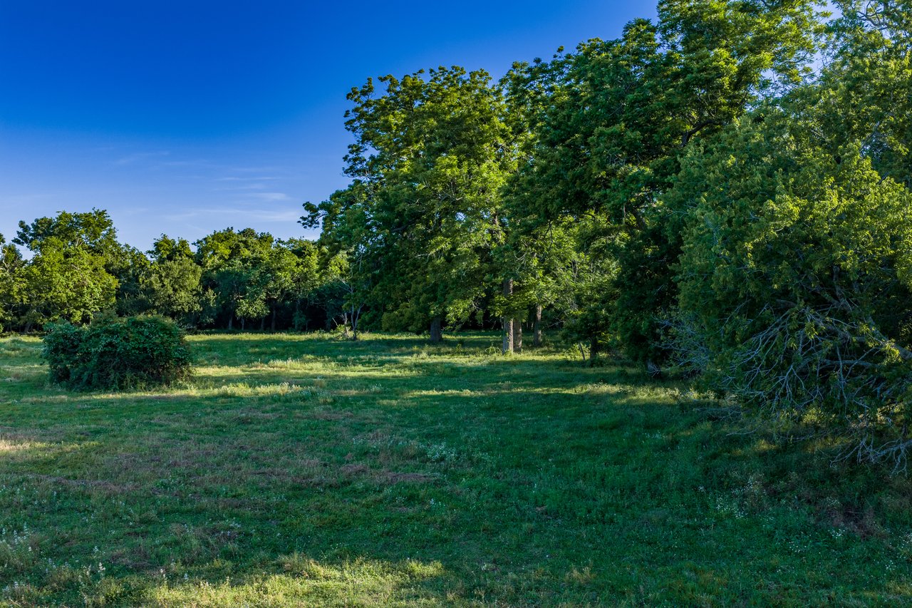 27.65 Acres in Sugar Land b/w Riverstone & Sweetwater