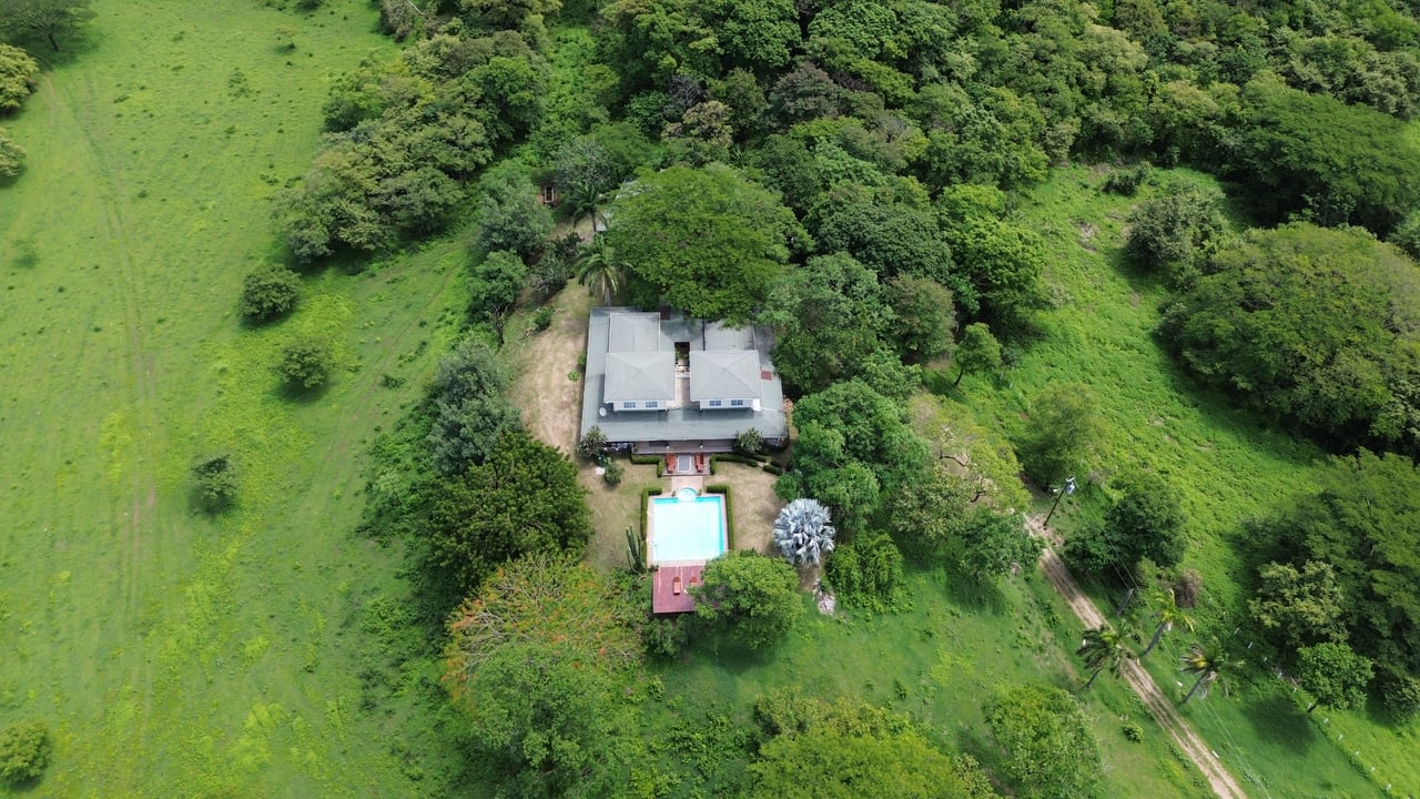 243 Hectares - Large Acreage - Costa Rica Investment Land. 