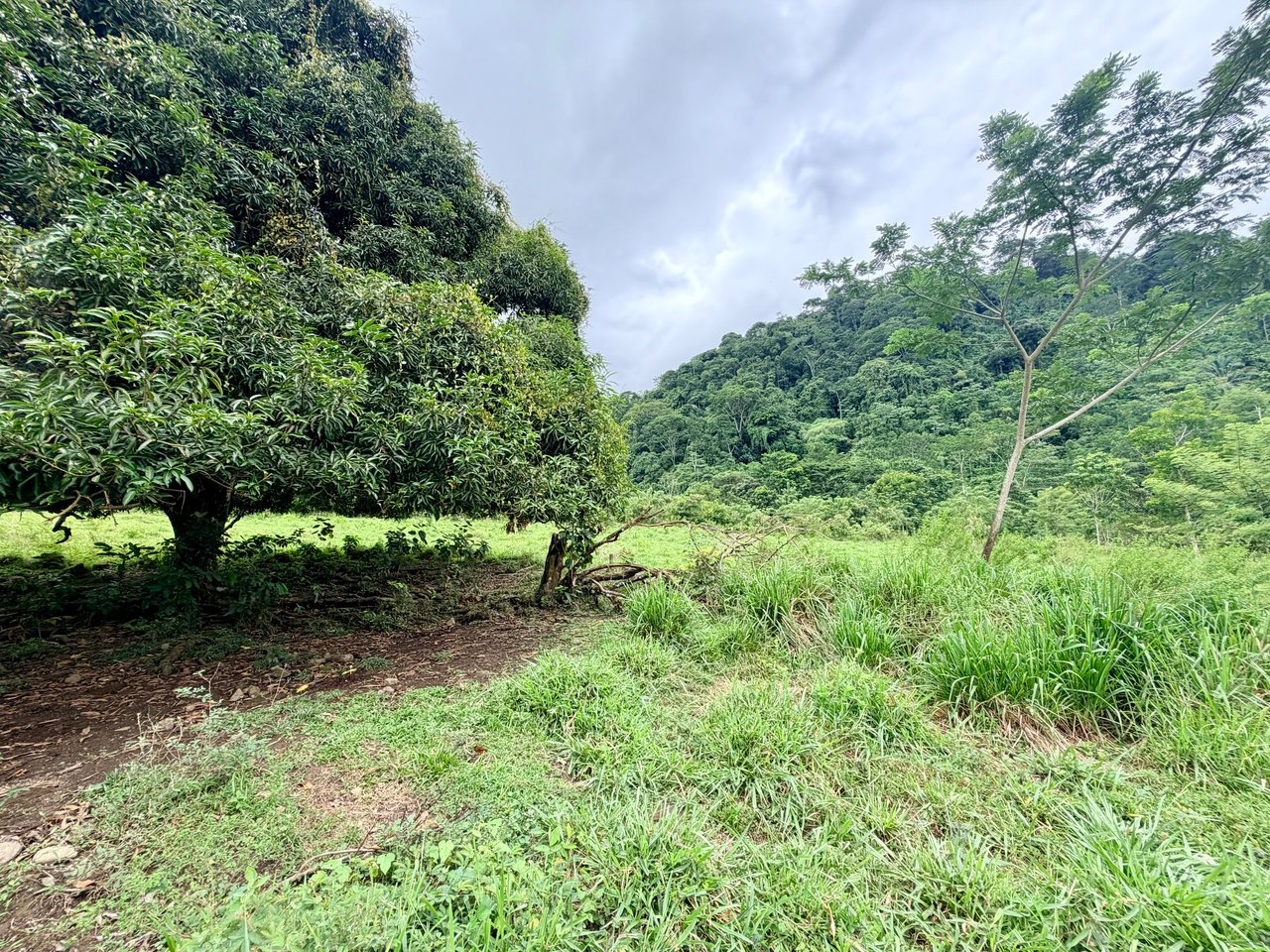 Ocean View Sanctuary in San Buenas – 4.94 Acres of Pastures & Easy Accessaccess