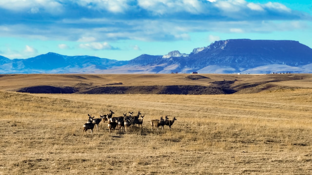 Prairie Rise Ranch