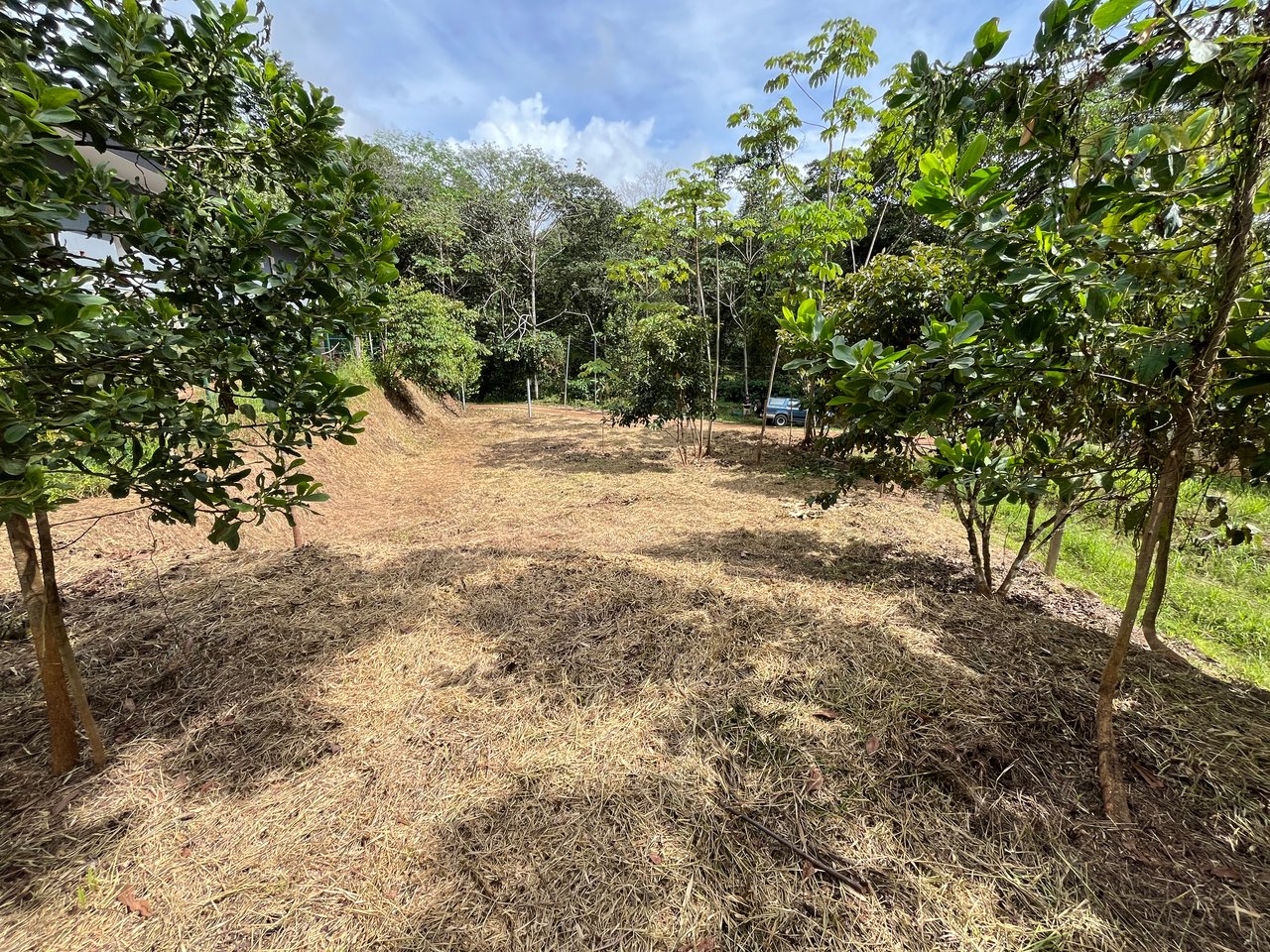Affordable Uvita Lot UNDER $200-per-sqm - Perfect for Your Dream Home or Airbnb Investment
