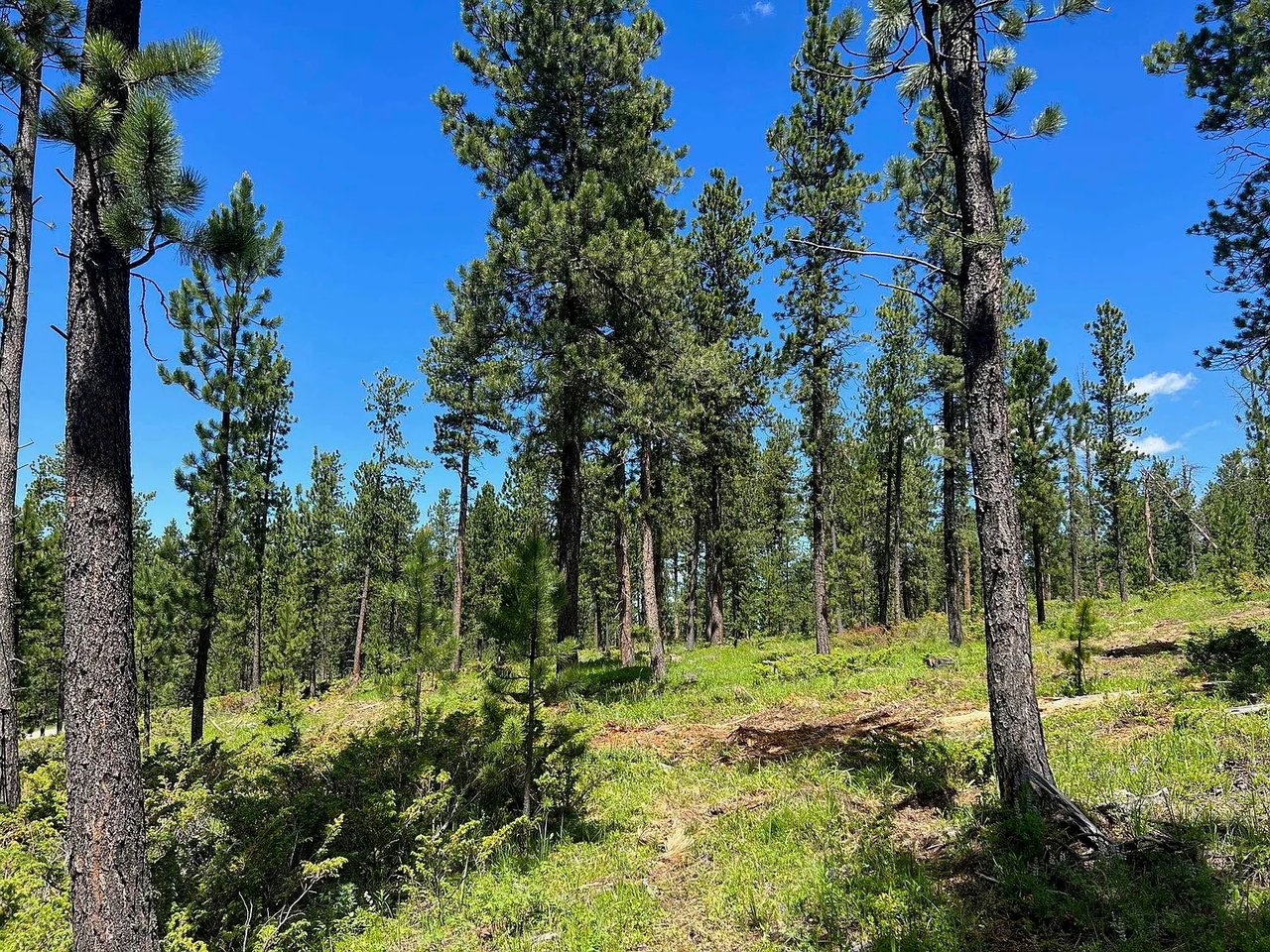 Lot 1 Boles Canyon Rd