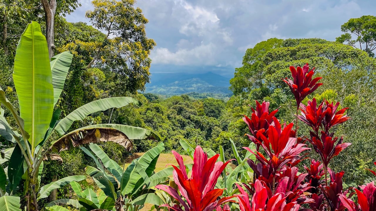 Scenic 2.53 Acres in Fila Cacao Ridge – Build-Ready Lot with Legal Water in Platanillo!