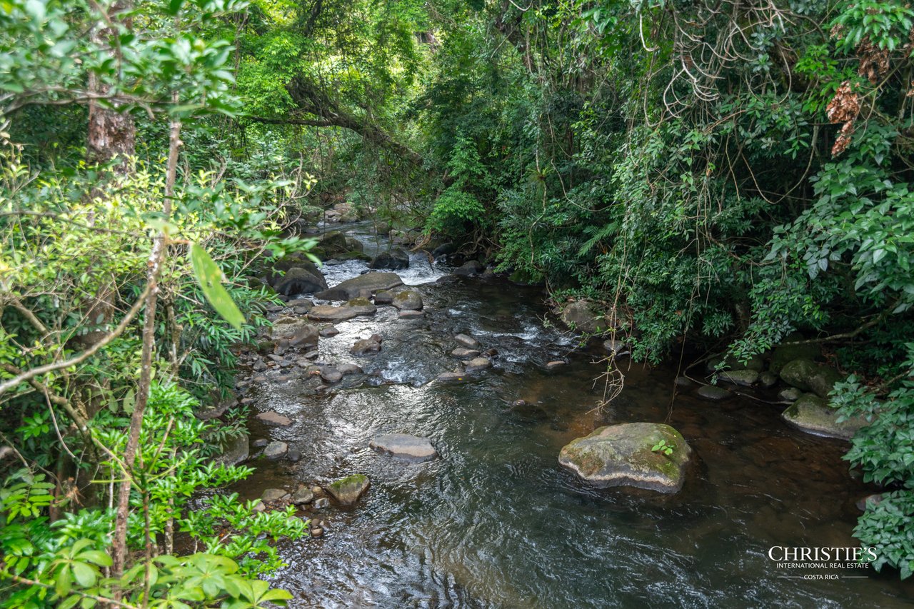 Origins Mineral: A Rare Landholding in Guanacaste’s Volcanic Highlands