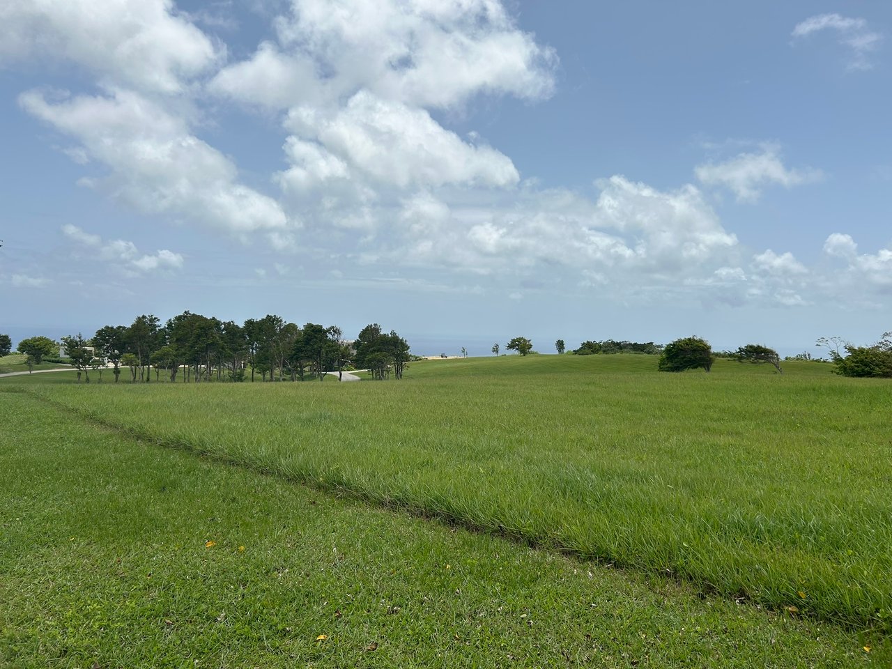 Apes Hill, Holders Meadow, H16