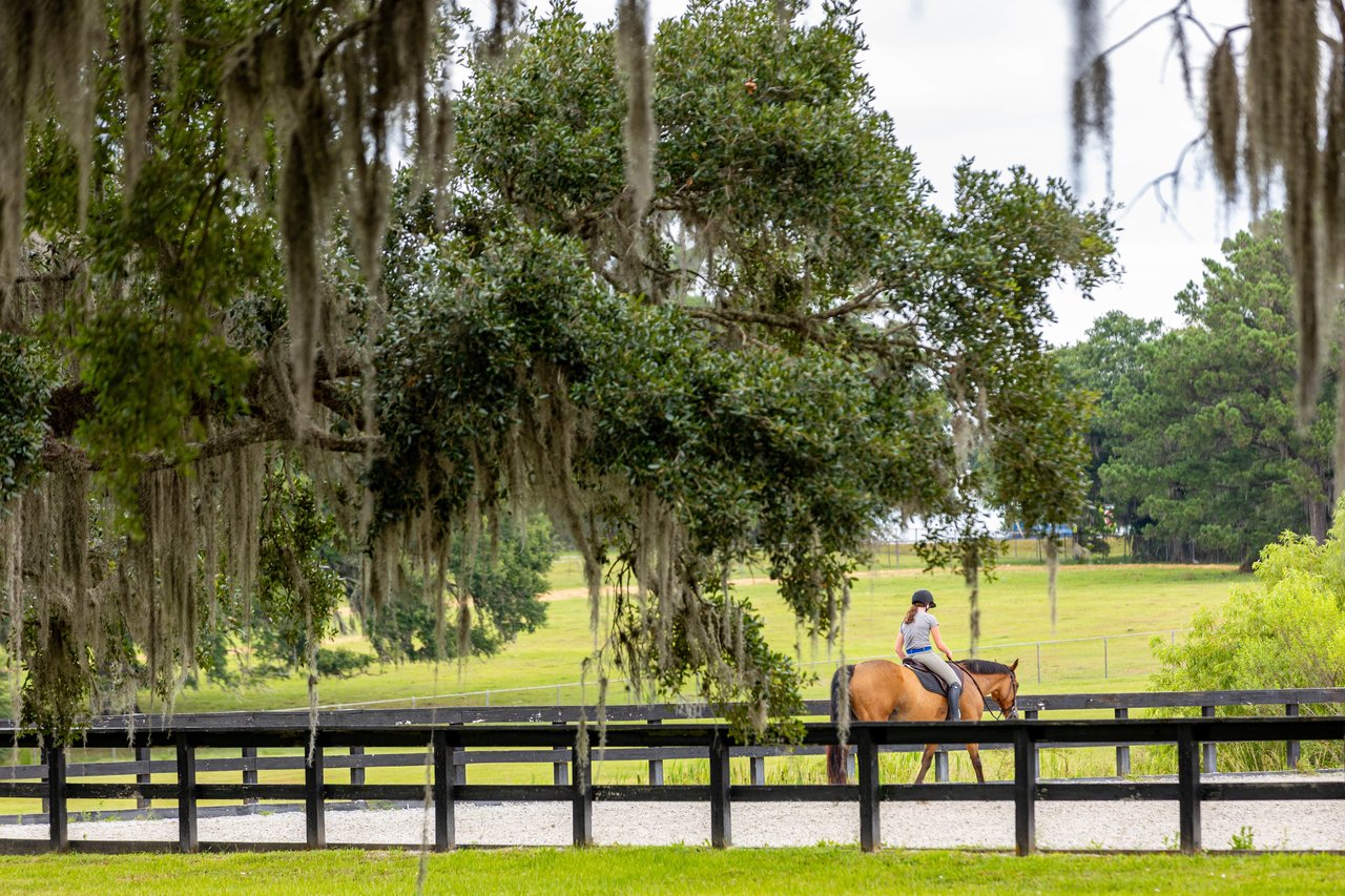 Ocala
