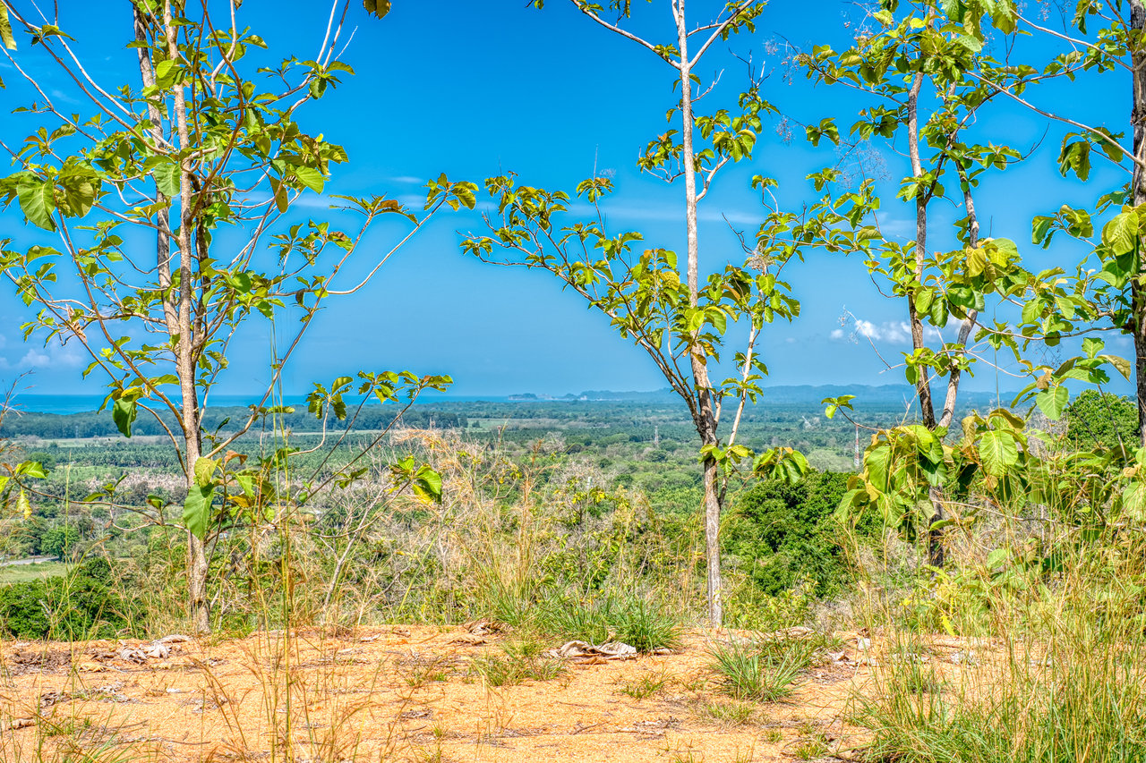 ¡New Gated Development in Matapalo - Ocean View and Flat Land, ready to build!
