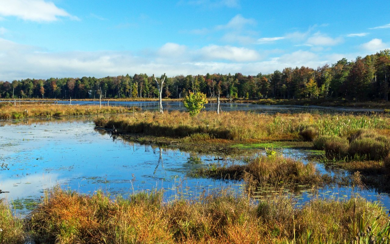 Gouldsboro