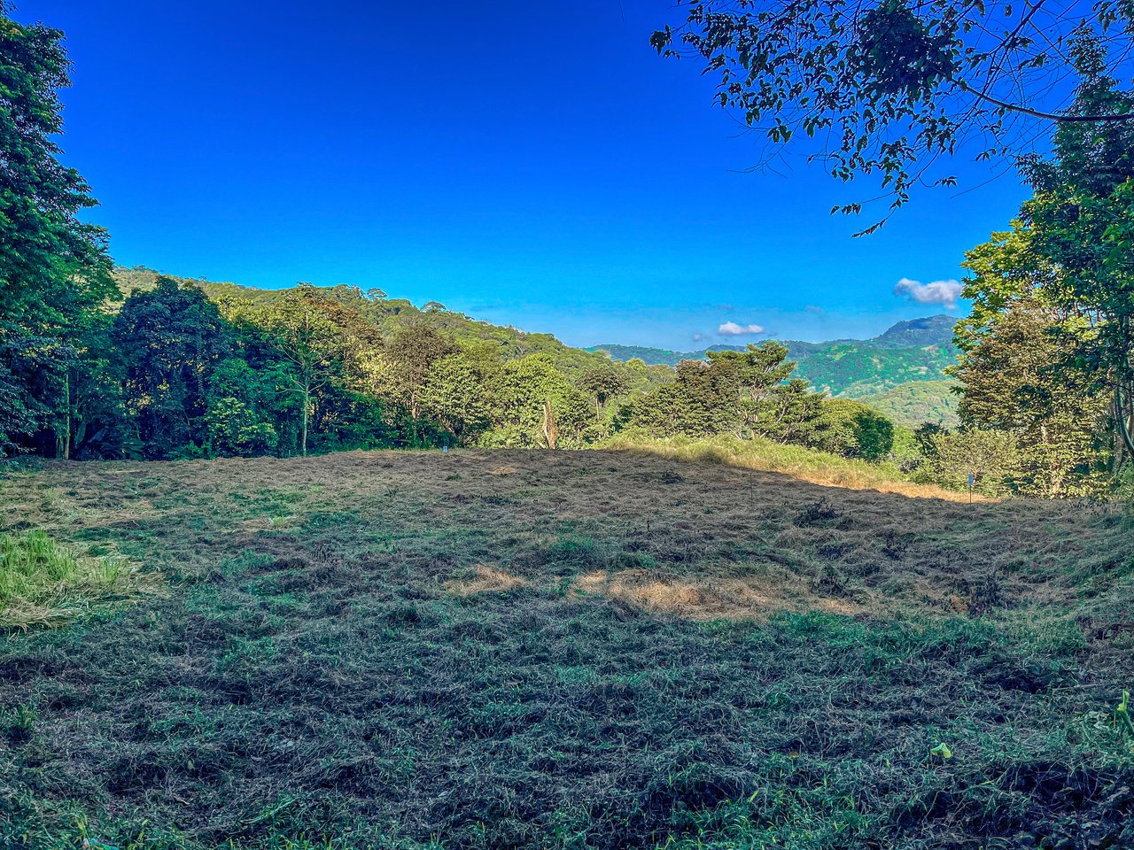 7 ACRES – Mountain Views! Large Building Area, Walking Distance To The Largest Waterfall In The Area, Public Road, Private Setting, Ready To Build, 20Min to Dominical!!