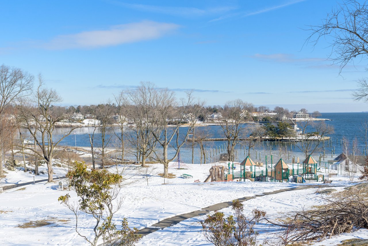 January 2025 Newsletter
