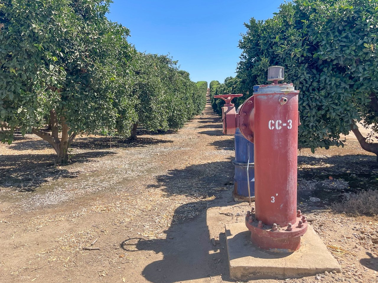 338.23 +/- Acres of Navel and Valencia Citrus in Cawelo Water District