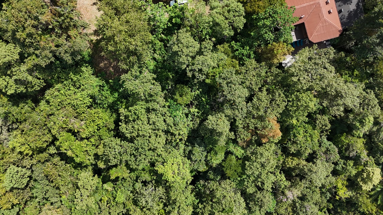 Luxury Gated Ocean-View Land Minutes from Manuel Antonio National Park and Marina