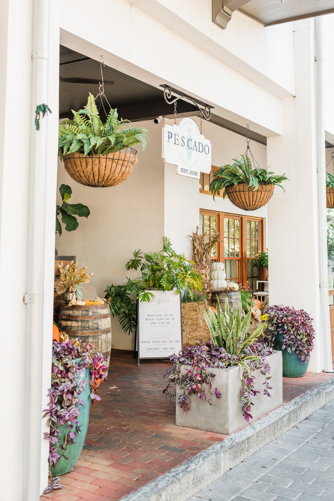 Lush plant-framed entrance to the Pescado restaurant with hanging ferns and wood French doors in Rosemary Beach on 30A, Florida