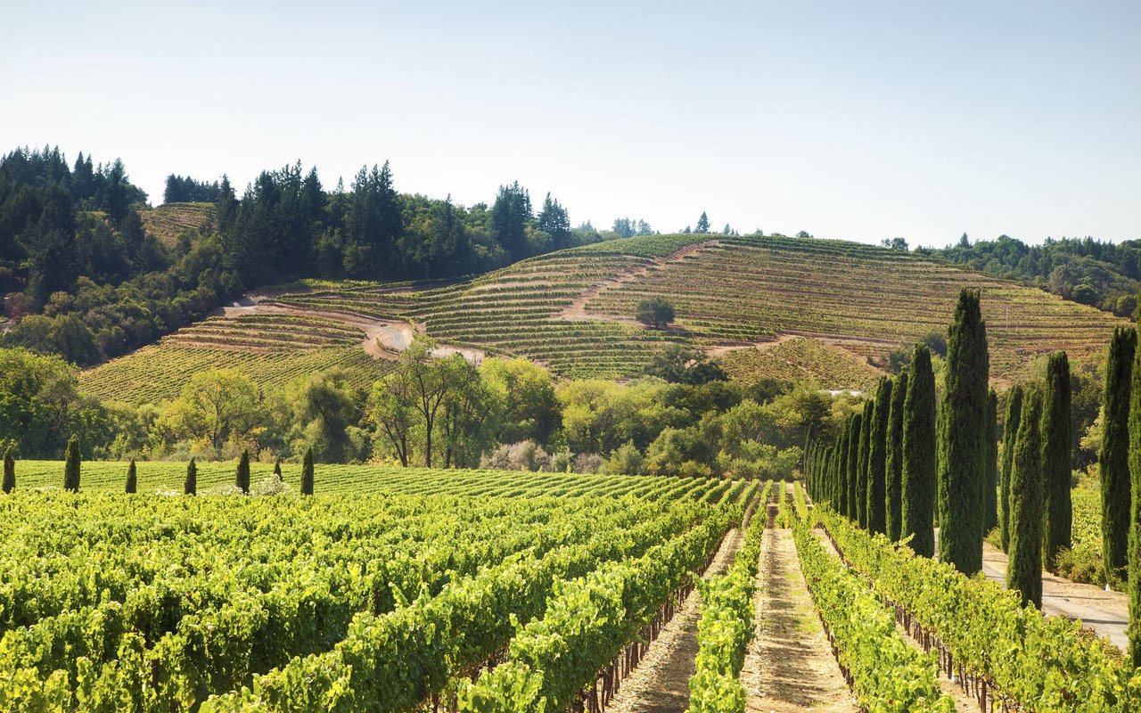 Napa