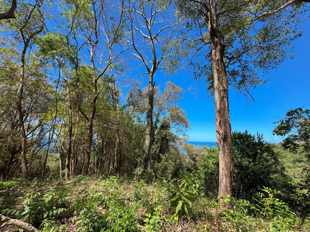 Refined Ocean View Development Parcel, Santa Teresa, Puntarenas