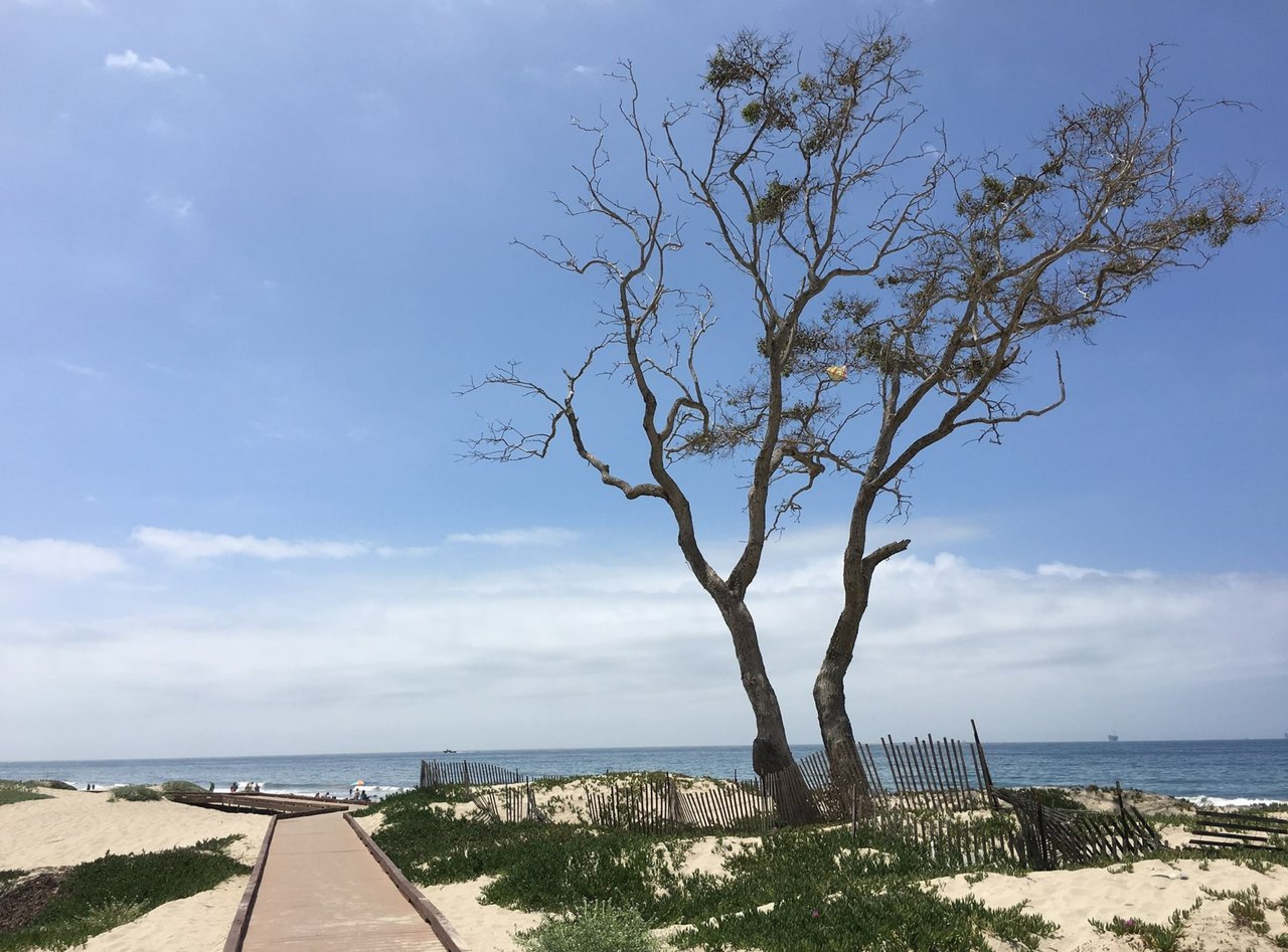 Carpinteria