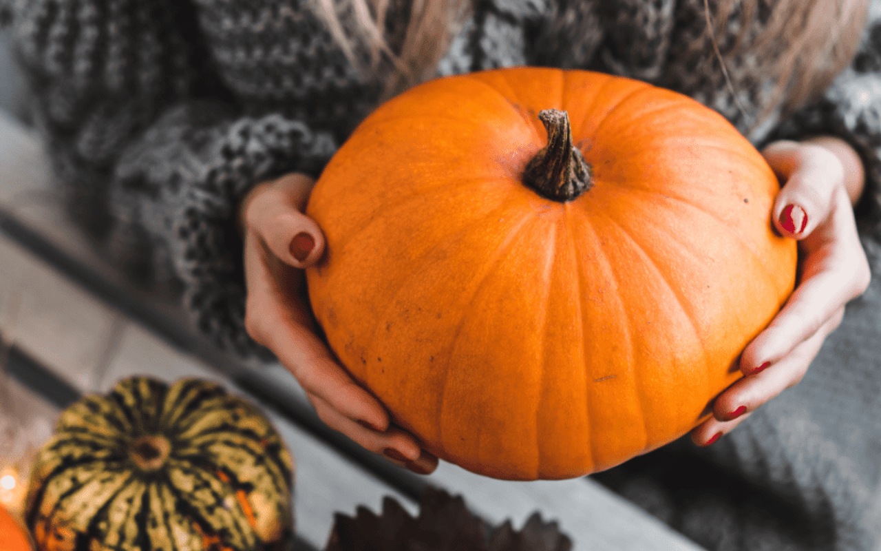 Halloween Decor: Spooktacular Ideas for a Hauntingly Good Time