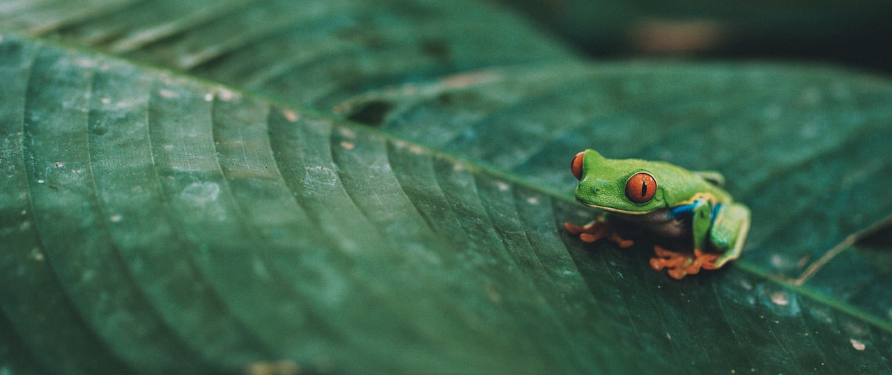  Punta Sabana & Mar Serena