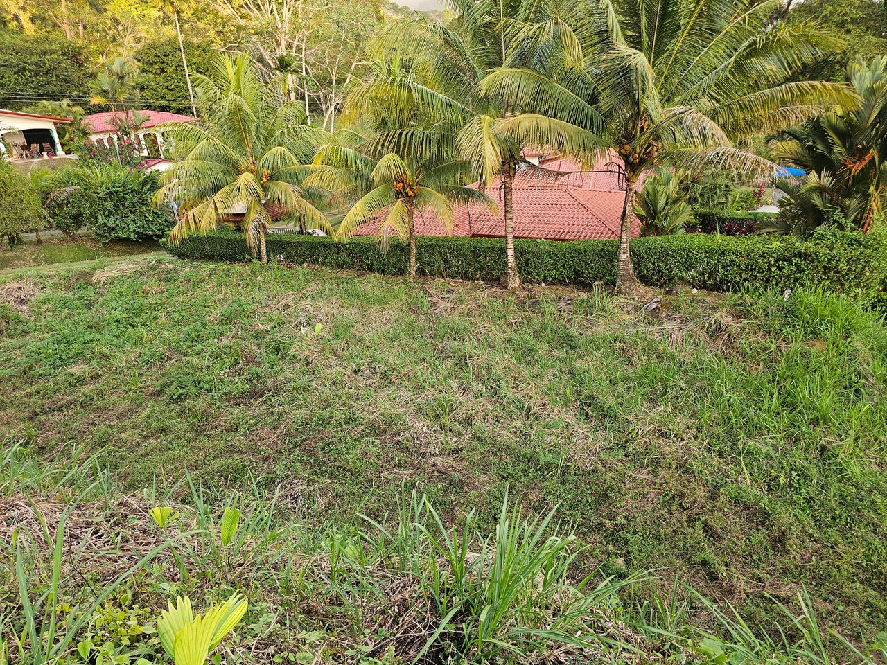 Peaceful Paradise Land in Ojochal with Budget-Friendly Options