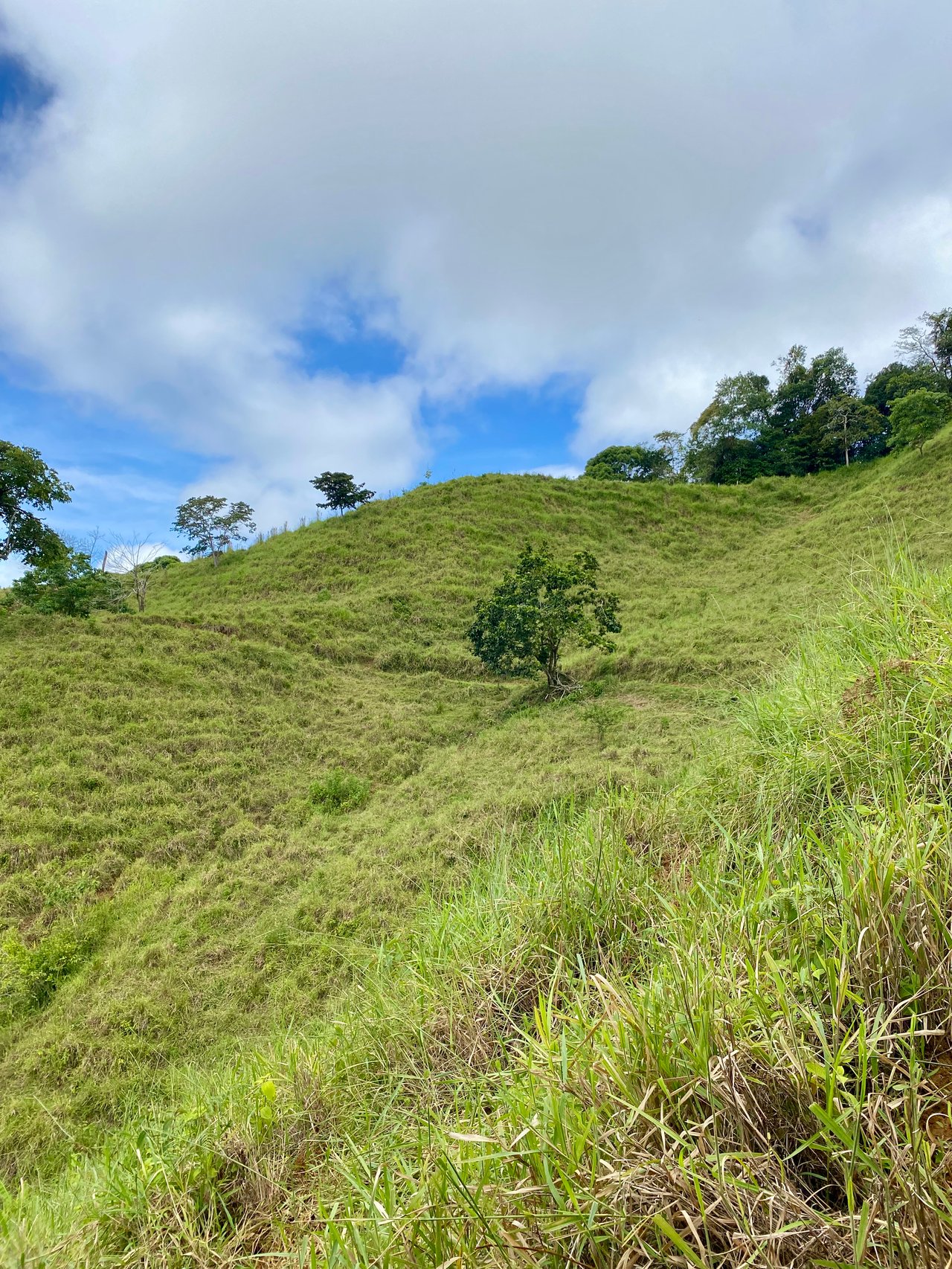 Spectacular 70 Acre Multiple Waterfall Property with Dramatic Views Near Ojochal