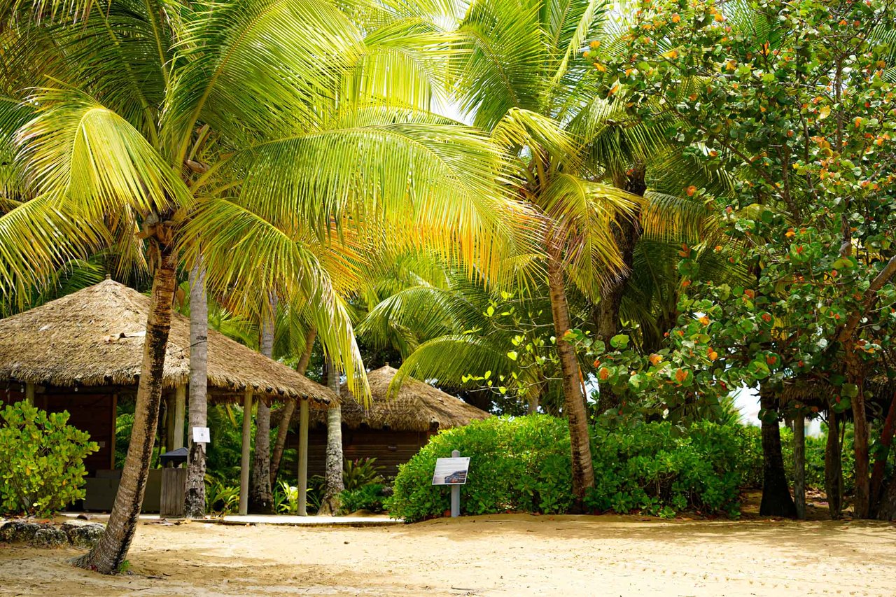 Bahia Beach Sanctuary