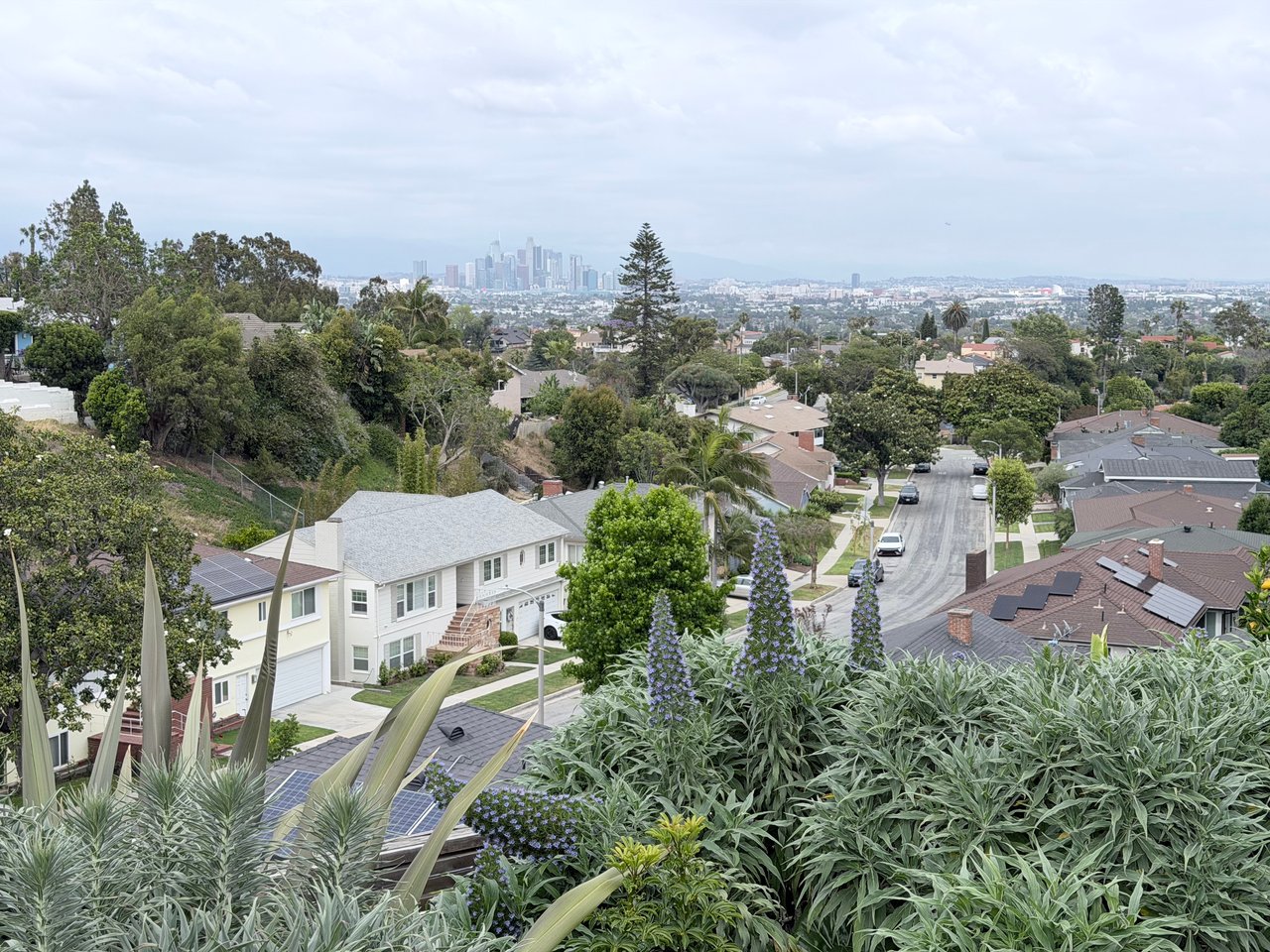 Why I Pull My Own MLS Data Every Month And What That Means for You