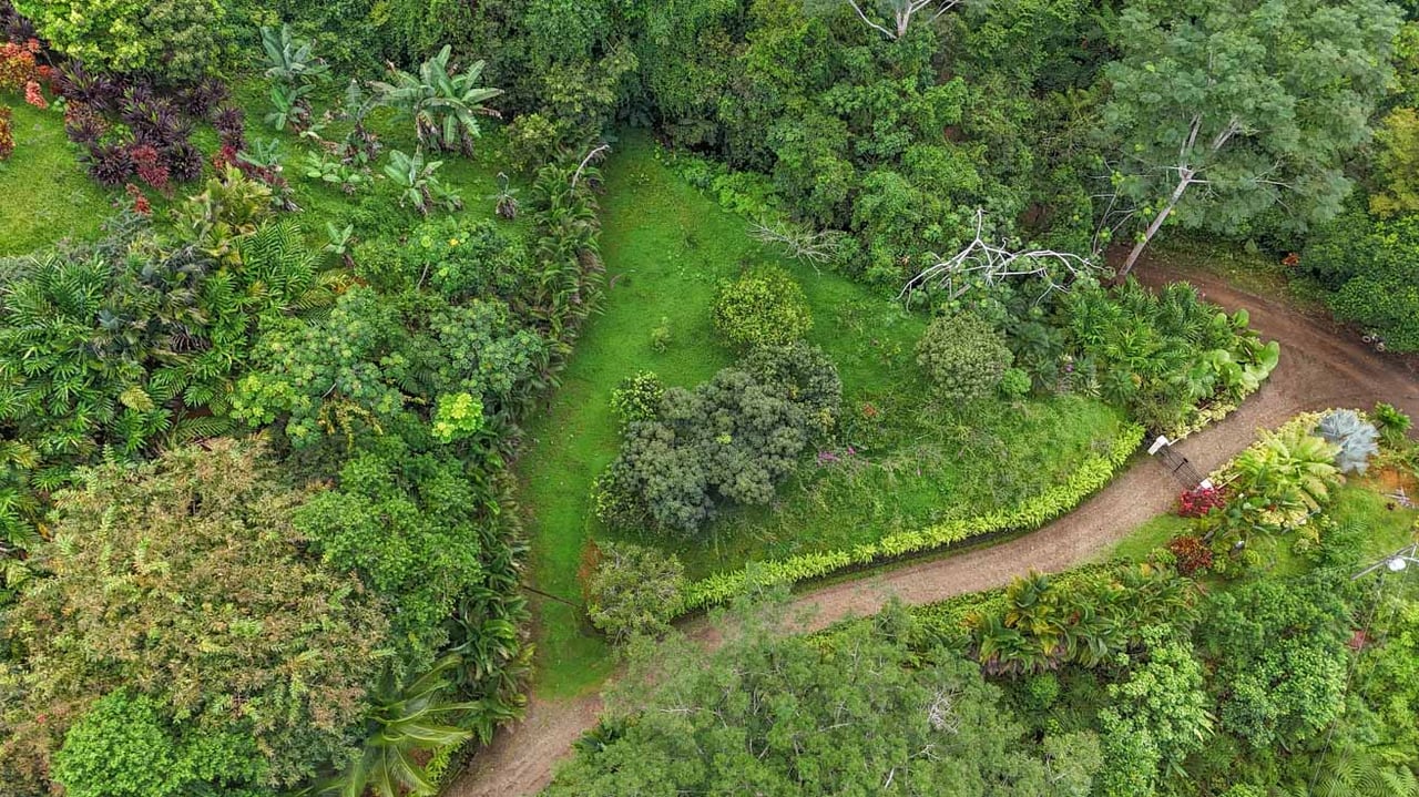 Ocean, jungle & mountain views on a meticulously landscaped 3-home family compound