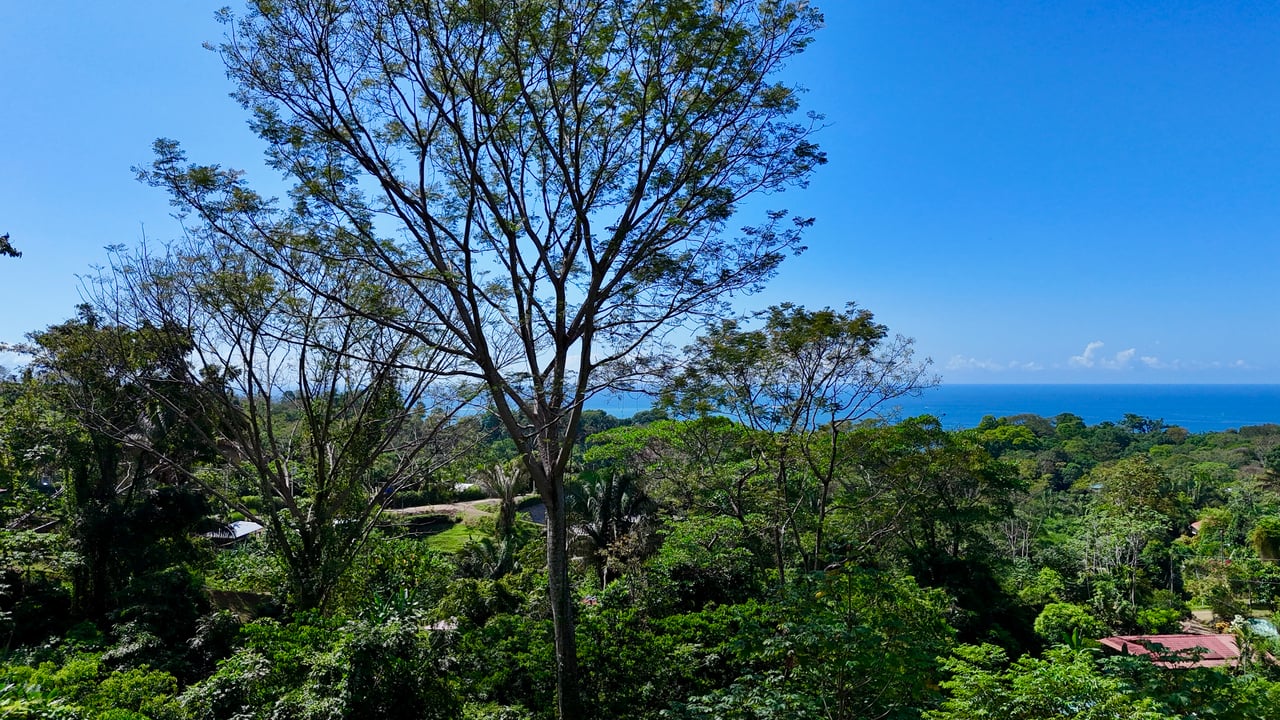 Ocean View Property in Playa Hermosa, Over 1.75 Acres