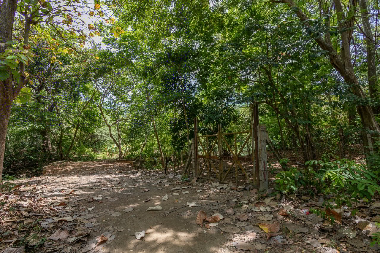 2.27 Acres close to Main Rd, Dixon Cove