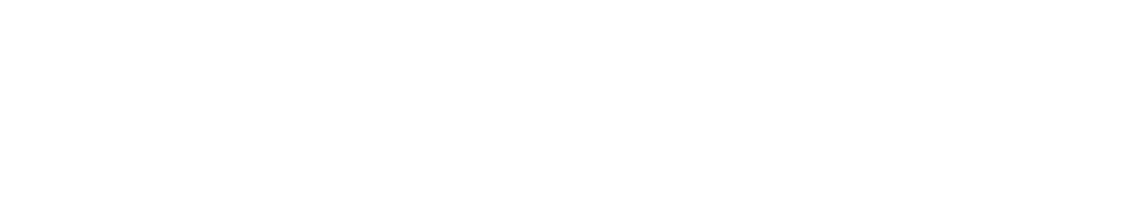 Light Logo