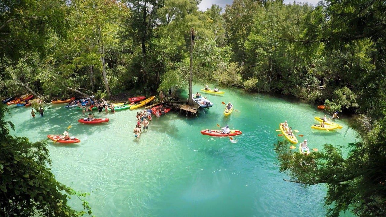 Kayaking through crystal-clear Florida springs near Tampa Bay
