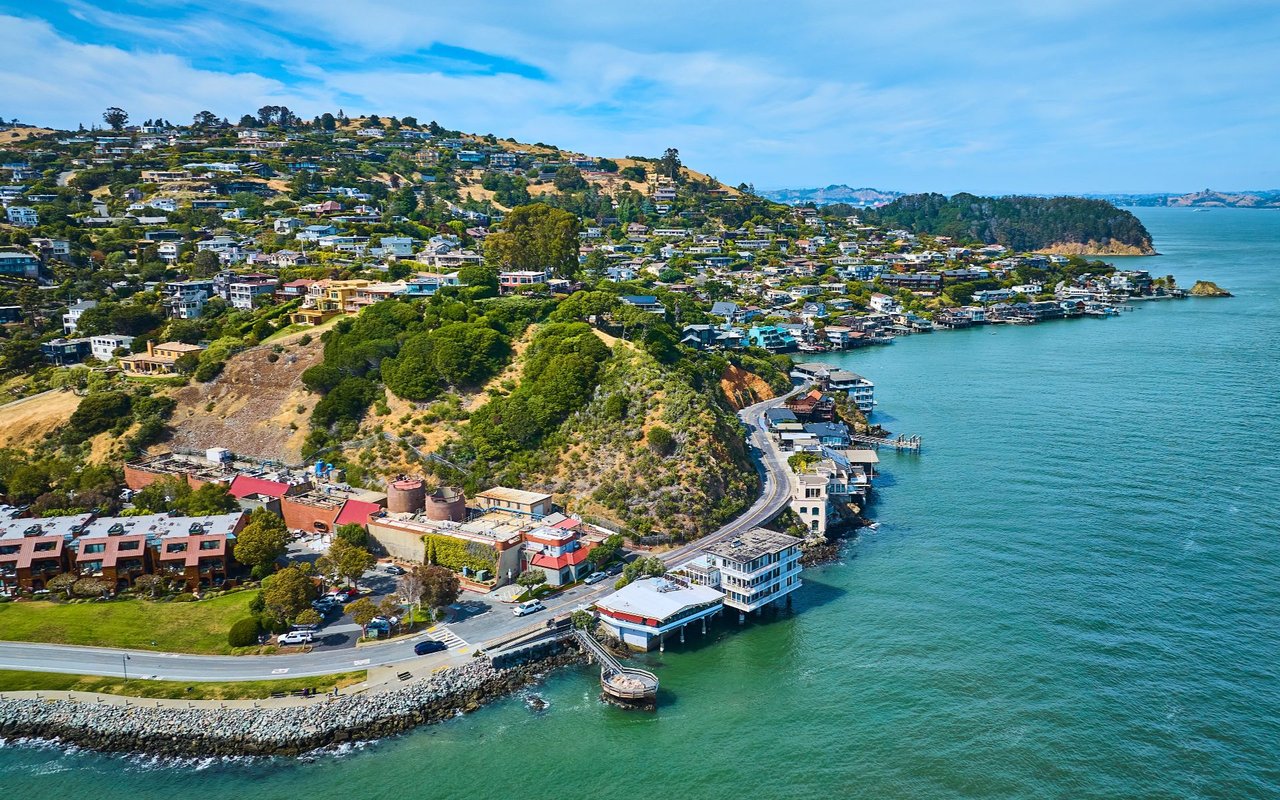Tiburon