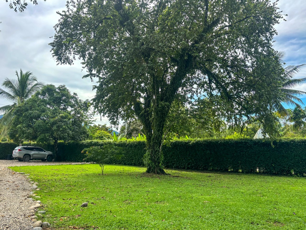 OJOCHAL JUNGLE HOME | EXPANSIVE LAND & DEVELOPMENT POTENTIAL