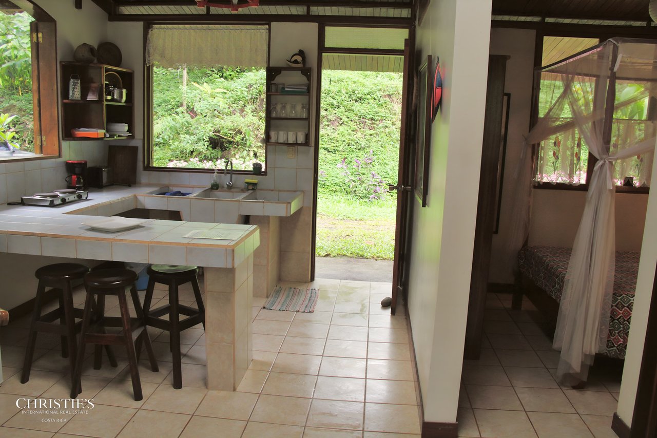 Finca Isla Rainforest Retreat – A Rare Income-Producing Paradise