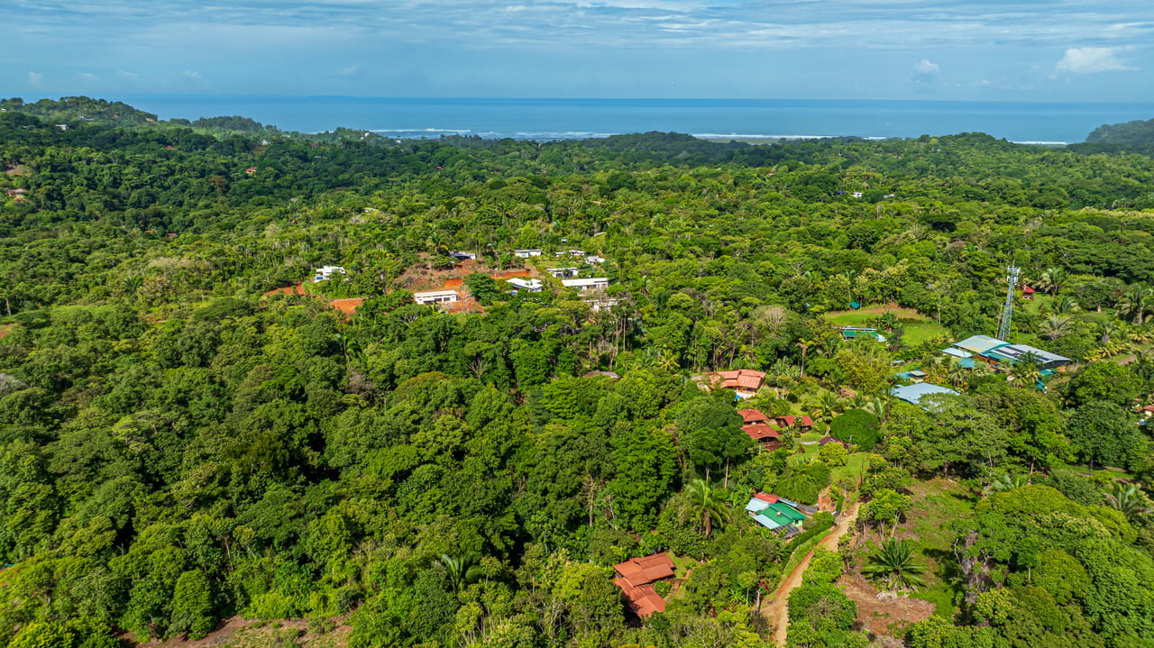 A Jungle House Built of Wood & River Dreams
