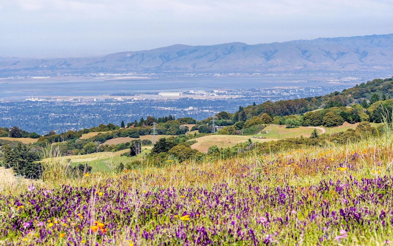 Sunnyvale