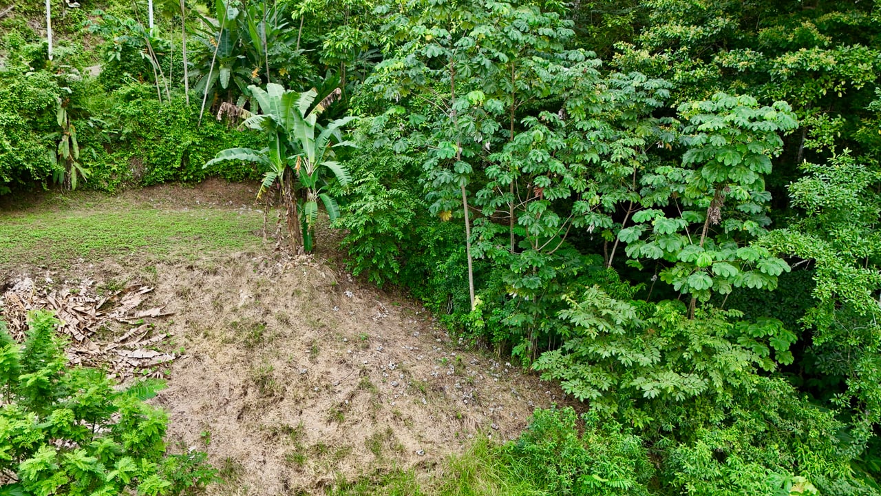 Tres Ríos Jungle Sanctuary | Ready-to-Build Lot Surrounded by Nature