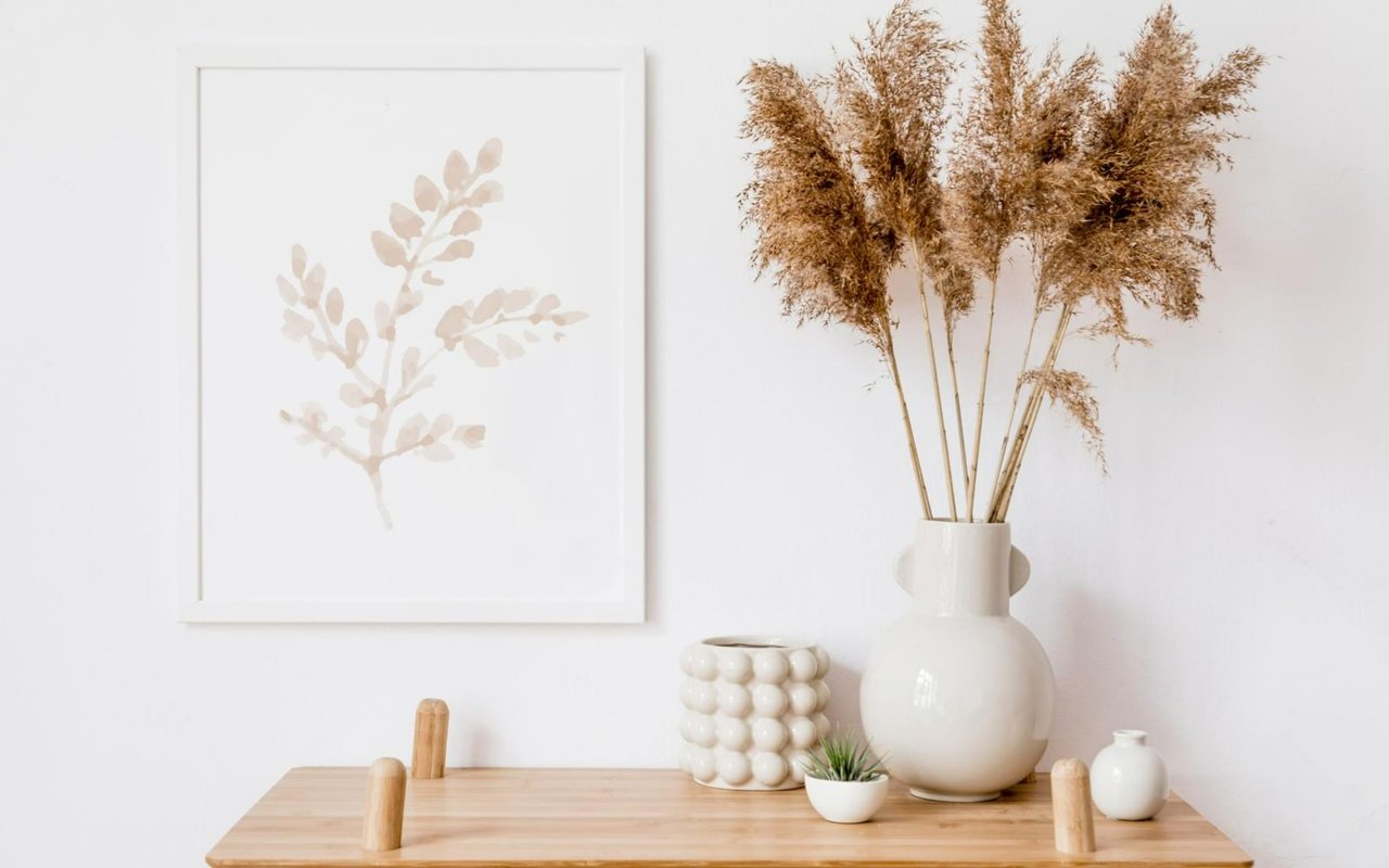 Welcome to the Team Lucas!