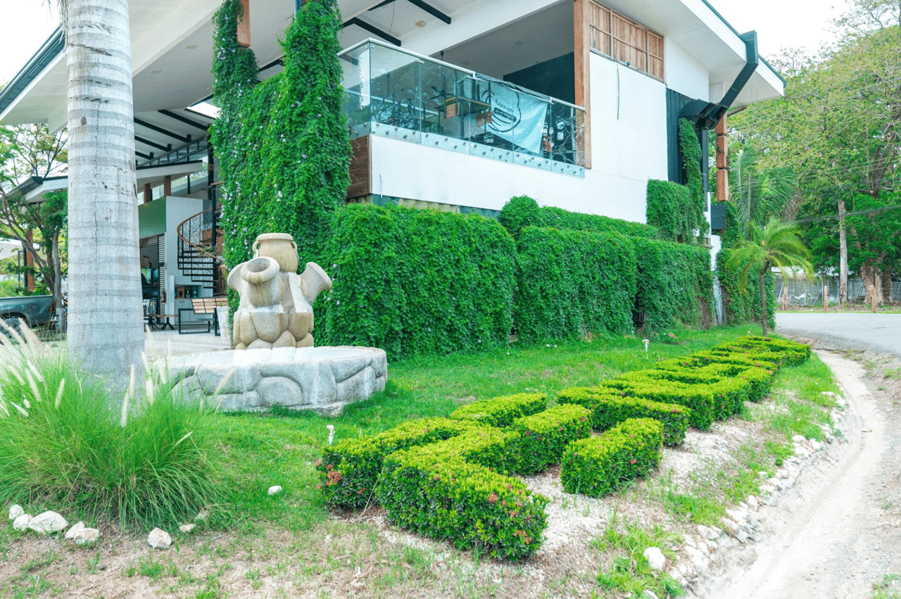 Plaza Elimar - Nosara Commercial Center, Prime Location
