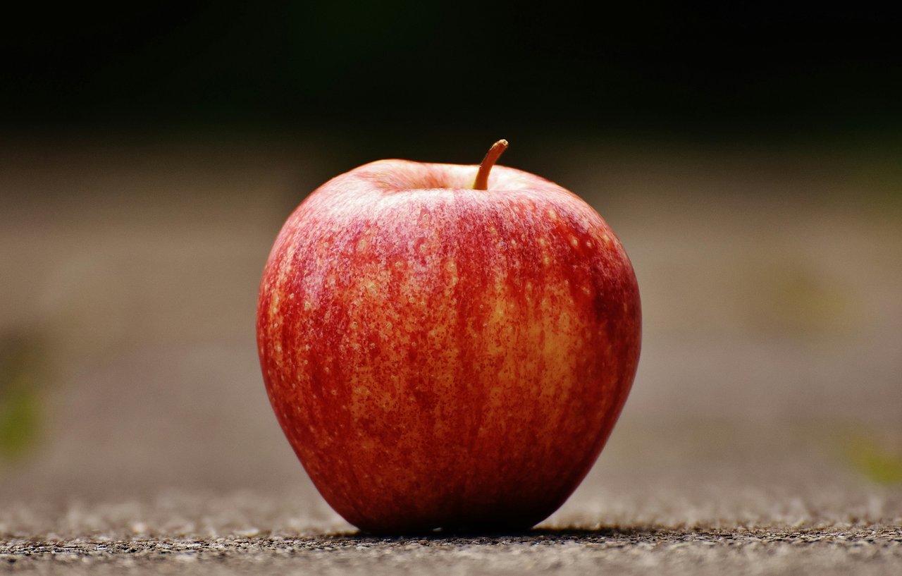 A Guide to Apple Picking in Westchester, Putnam & Dutchess County