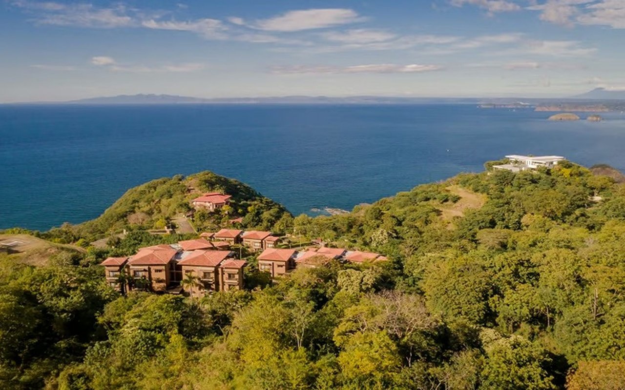 Papagayo