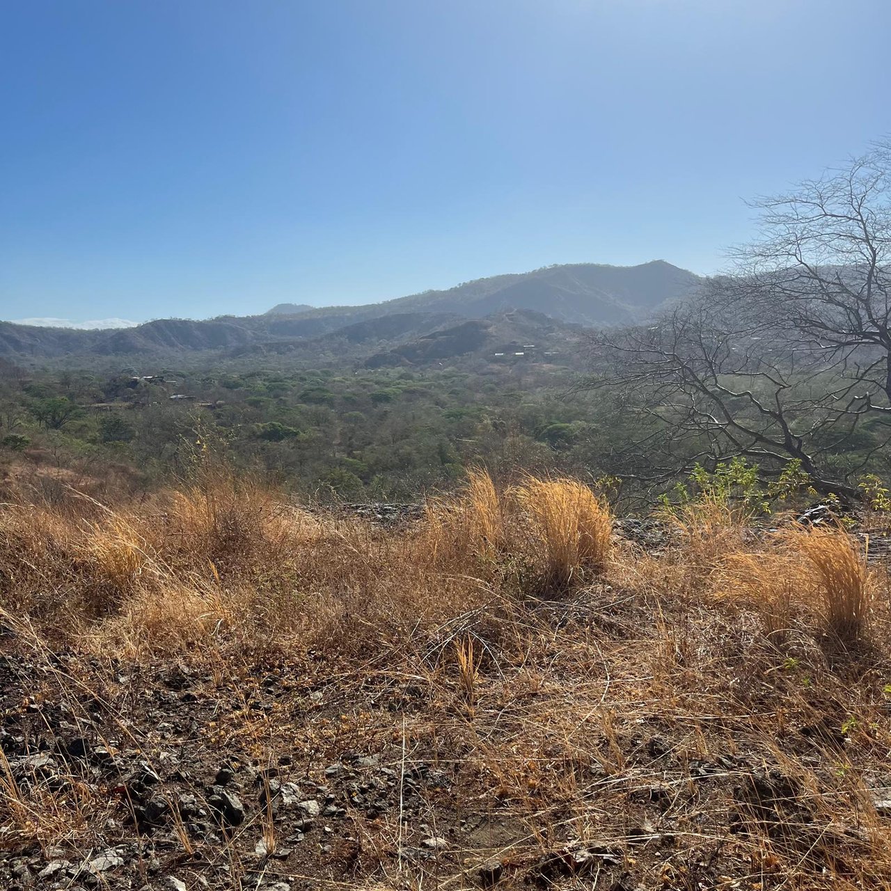 Lot 59 – La Marcela | Tranquil Jungle Ocean View Homesite in Potrero