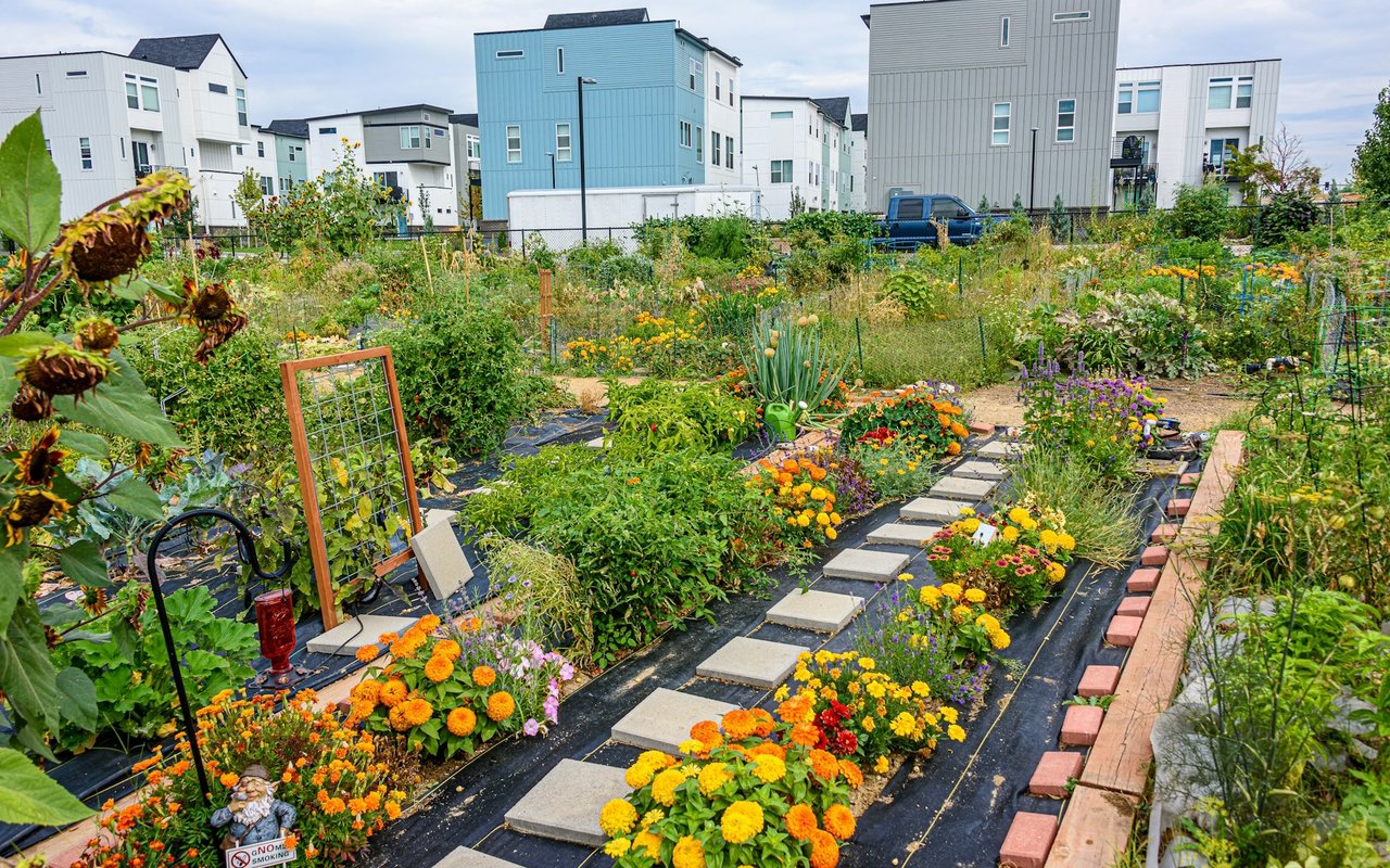 Cliffwood Community Center