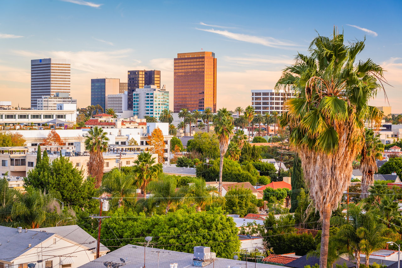 West Hollywood skyline beyond palm trees and neighborhood homes in warm evening light.