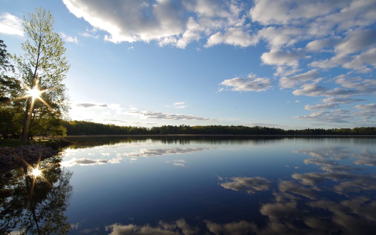 Clouds and shoreline trees reflected in a calm lake as sunlight shines through a tree.