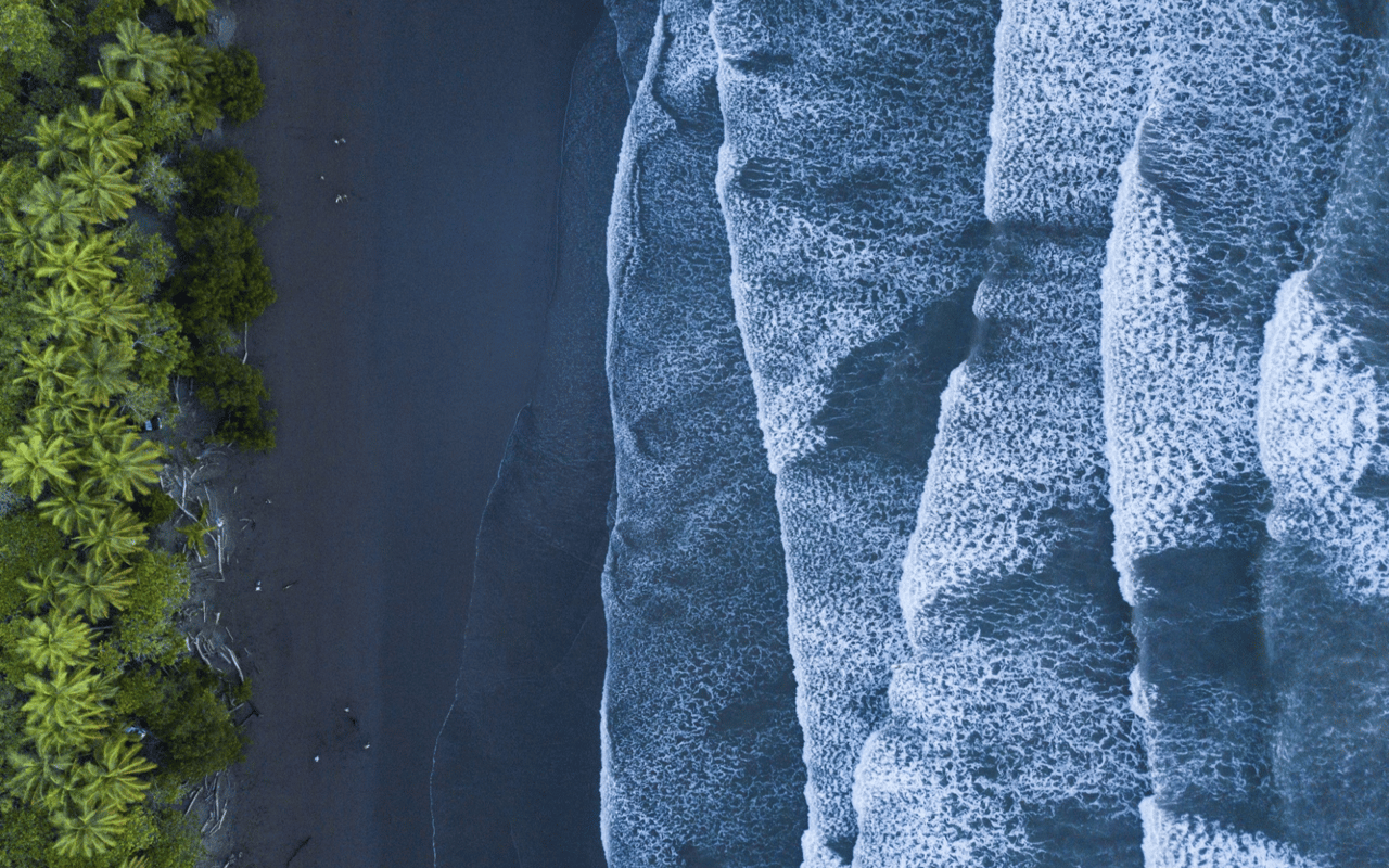 The Top Attractions in Uvita For Locals or Tourists