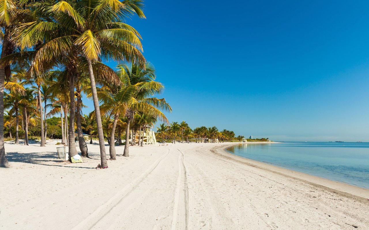 Palm-lined white-sand beach with tire tracks leading to calm blue water.