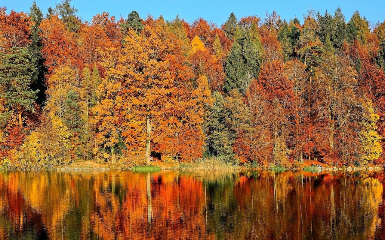 Why This Fall Shows Improvement For Buyers