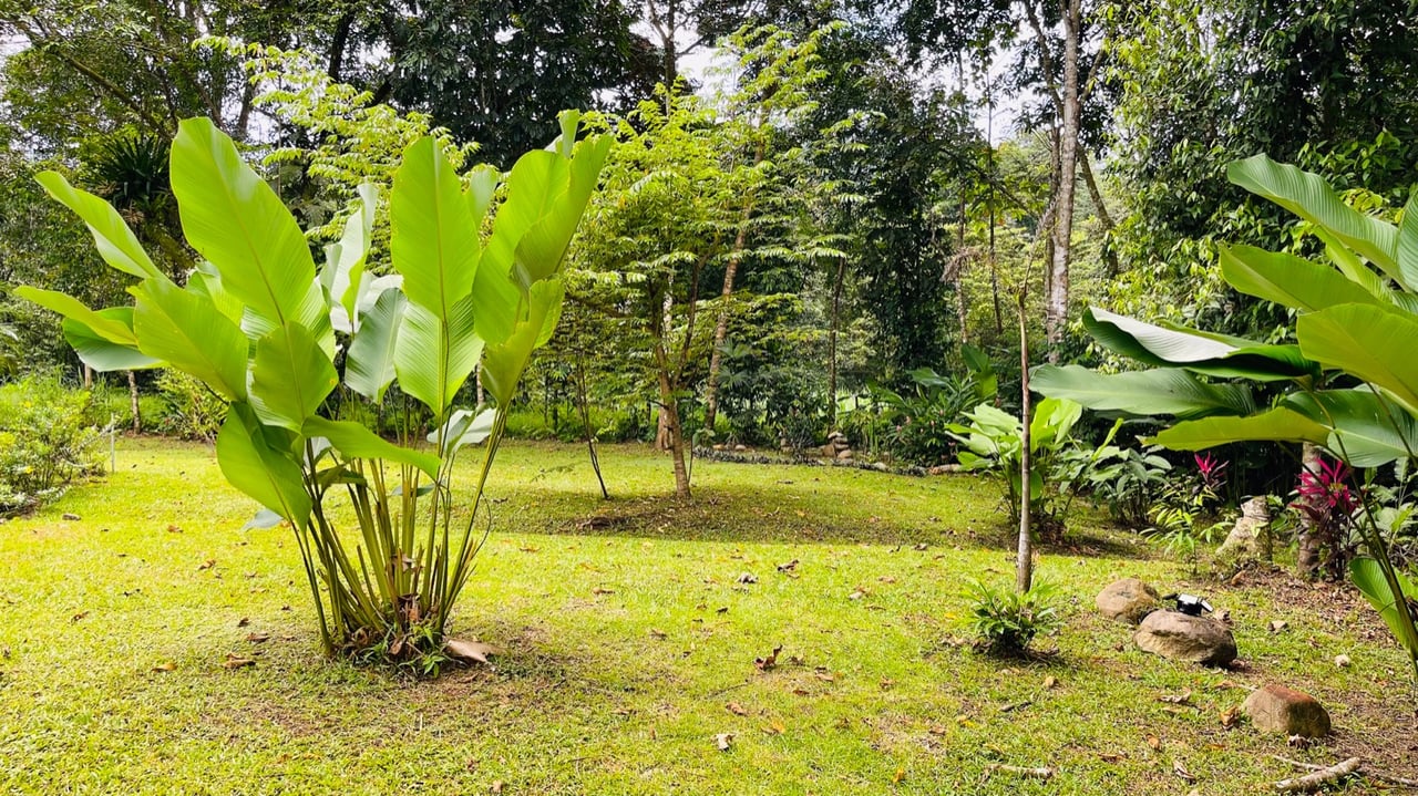 Contemporary Jungle Retreat in Tres Rios, Costa Rica